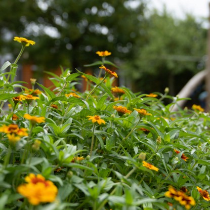 Informationen zur Fotowoche vom 08. bis 11. Mai 2023